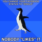 Socially Awkward Penguin