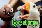 goosebumps