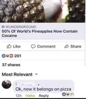 pineapple cocaine pizza
