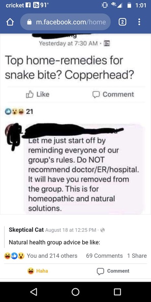 home_remedy_snake_bite.jpg