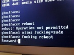 alias fucking sudo
