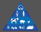 metroid food pyramid