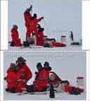 penguin talk about linux