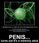 penis bandwidth