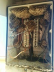 punchdown panel wasps
