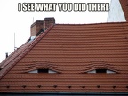I SEE WHAT YOU DID THERE 4