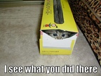 I see what you did there 2