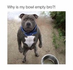 bowl empty