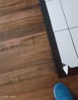 cat likes it broken