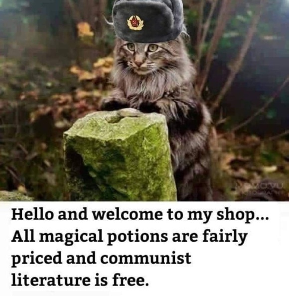 commie_cat.jpg