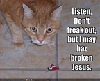 funny-pictures-cat-worries-he-has-broken-jesus