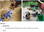 innocent
