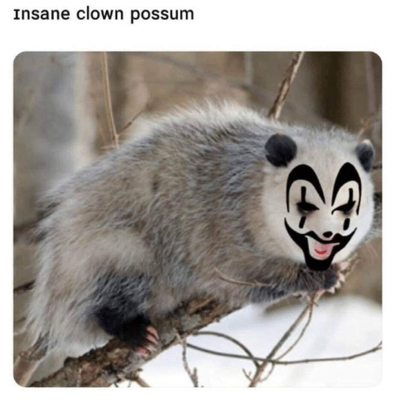 insane_clown_possum.jpg