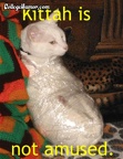 kittah