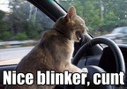 nice blinker