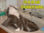 ursink