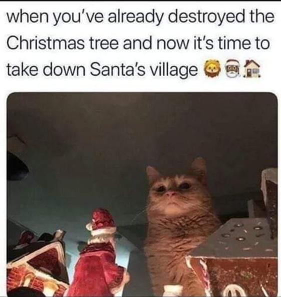 when_youve_already_destroyed_the_tree.jpg