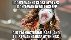 aerosmith possum
