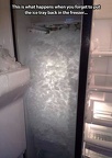 no ice tray