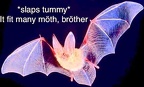 bat slaps tummy