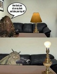 lamp casting couch