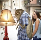 moth lamp