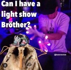 moth light show