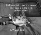 nike cat