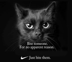 nike cat bite