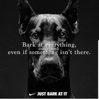 nike doggo