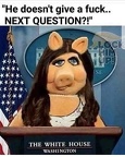 miss piggy huckabee sanders