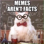 no - memes arent facts