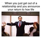 announcing your return to hoe life